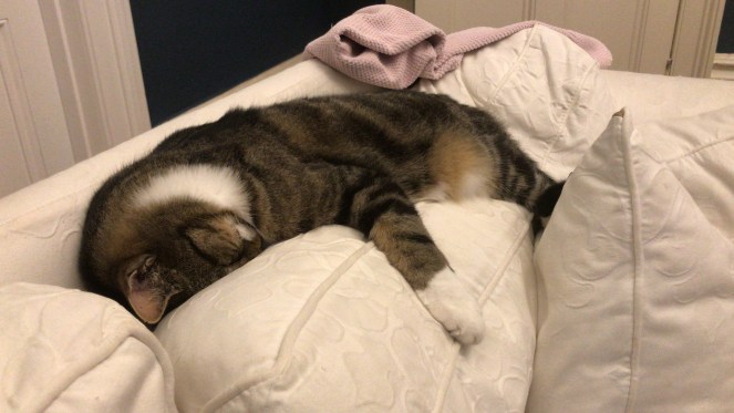 EC644950-451D-48C0-B9AF-3047CB29EFB0 (1)